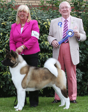 Mrs J Killilea & Mrs A Clure Ch Redwitch Born This Way with group judge Mr D Smith