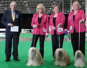 Anderson - Lhasa Apso with judge Mr J Watson