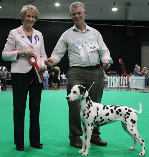 Dr W J E & Mrs J M Gardner Dvojica Black Again At Wrendragge with judge Mrs E A Macdonald 