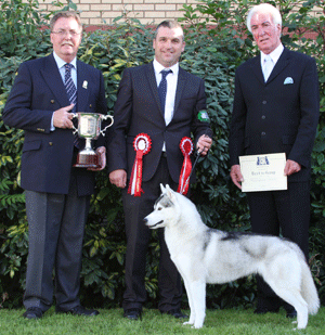 Mrs E & Mr K Whitehead Ch Miramichi Of Poliarine Arktika JW Sh CM (Imp) with group judge Mr S J Mallard & Mr D Bell (Show Manager)