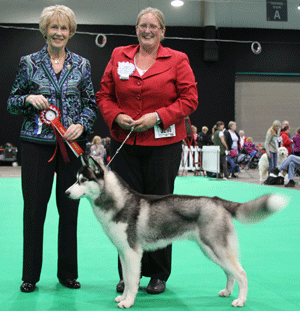 Mrs P Taylor & Miss H Taylor Pelenrise Brite Knight with judge Mrs E A Macdonald