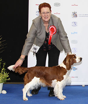 Mr A Morgan & Mr D Schofield Sh Ch Ferndel Butterkist Cwsscwn JW