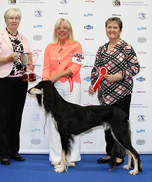 Mr A & Mrs J Glaister Ch Classicus Cassander JW Sh.CM with group judge Mrs P Marston-Pollock