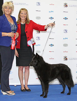 Ms S Hood & Ms P Mckenzie-Hewitt Revloch Karma with puppy group judge Mrs P Hollings