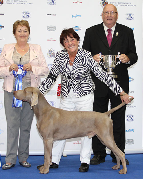 Mrs K A Whitehead Sh Ch Gunalt De Ice At Stridview with BIS judge Mrs J Peak & Mr S Milner (Assistant Secretary)