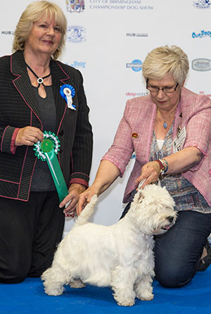 Mrs K & Mr J Fox Ch Comdale Miss January At Hillsted with group judge Mrs Z Thorn-Andrews (Photograph taken by Alan Seymour) 