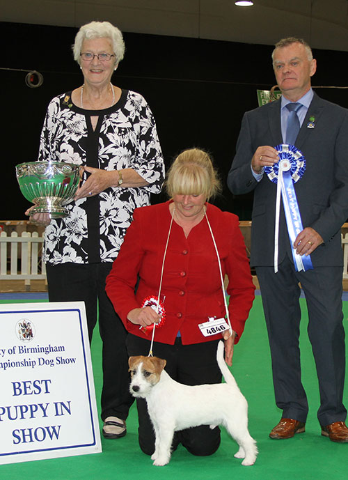 Mr A Barker Monamour Over The Rainbow with BPIS judge Mr E Paterson & Mrs R Hall (Committee)