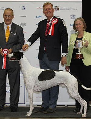 Ms S Horakova Multi Ch Jet's Man In The Moon with group judge Mr B Reynolds-Frost & Ms A Defaye (Committee) 