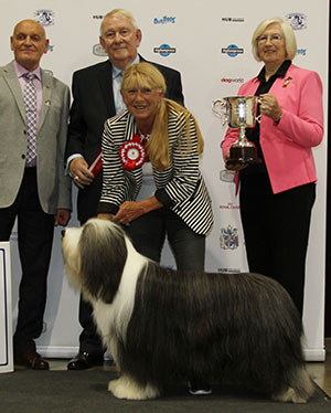 Mr M J & Mrs J Lewis Ch Potterdale Platinum Plus with group judge Mr D Smith & Mr B M Croft (Breed Judge)