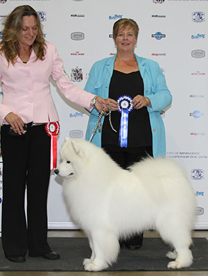 Mrs A Kirkwood & Miss N J Carruthers Ch Vandreem Imperial Cruz