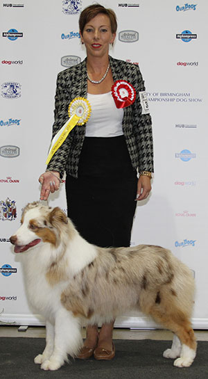 Mrs L Birgisdottir AKC Ch Kraftbrewd's Blossi At Heimsenda (Imp USA)