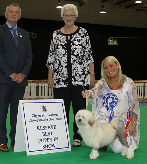 Mrs J Graham Jameneli Wiz Kid with BPIS judge Mr E Paterson & Mrs R Hall (Committee)