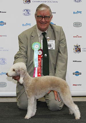 Mr S D & Mrs A Yearley Ch Gnejnabay Genegenie Gal At Lowbrook JW Sh CM with veteran group judge Mr K R Newhouse