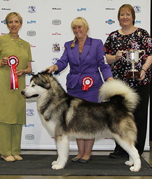 Ms S Ellis Chayo Klass Act JW with group judge Mrs J A Harriington & Mrs M Morris (Committee) 