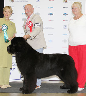 Mrs L Chapman & Mr T Chapman Merrybear D'artagnan with group judge Mrs J A Harriiington