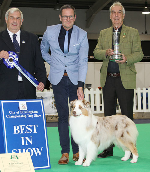 Mrs L Birgisdottir AKC Ch GB Kraftbrewd's Blossi At Heimsenda (Imp) with BIS judge Mr B Day & The Rev'd W H King (Chairman) 