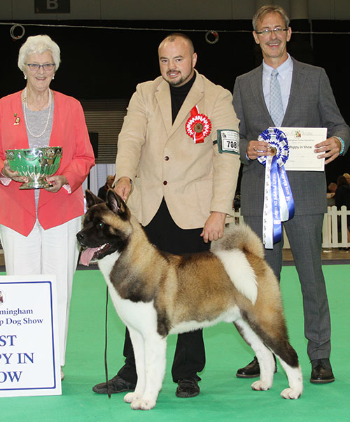 Mr M Bostock & Miss J Armstrong Lsa Aston Martin By Ruthdales NAF TAF (Imp) with BPIS judge Mr M Gadsby & Mrs R Hall (Committee) 