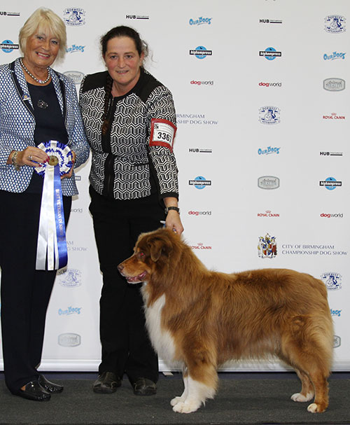 Ms E L Alder & Mr Haste Jacanshe Harvest Time With Aussiame Sh CM with BVIS judge Mrs E Stannard 