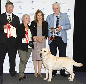 Ms S Lambert Ch Mattand Exodus JW with group judge Mr D Howarth & Mr B M Marshall (Treasurer)