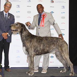 Mr C & Mrs J Amoo Sade Brutus with group judge Mr P Teixeira