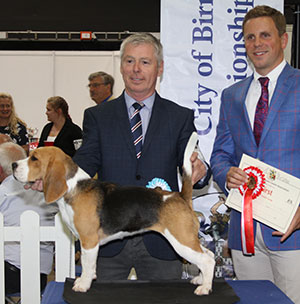 Messrs T & S Jones & Jepson Blunderhall Bona Fide From Eardley with junior group judge Mr T Isherwood