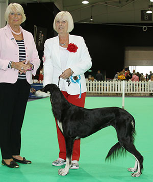 Mrs D Garratt & Miss S Oakey Ch Caryna Meilichia Sh CM with veteran group judge Mrs E Stannard