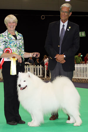 Mrs V Freer & Mrs S Smith Ch Nikara Diamond Dancer JW with group judge Mr P Teixeira