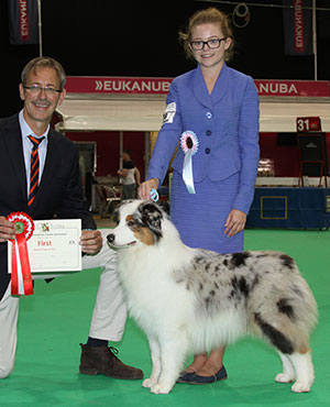 Mr N & Mrs A Allan Allmark The Sequel with puppy group judge Mr M Gadsby