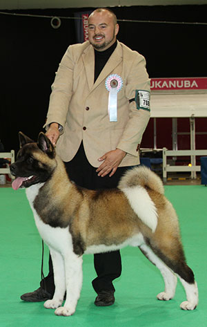 Mr M Bostock & Miss J Armstrong Lsa Aston Martin By Ruthdales NAF TAF (Imp)