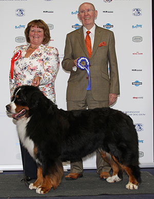 Mrs C Hartley-Mair & Mr G Dybdall Ch Meadowpark High Class with group judge Mr A Wight