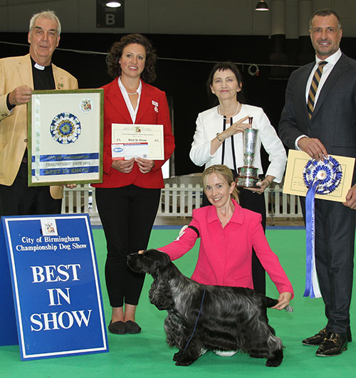 Miss S Amos-Jones Sh Ch Veratey Vincenzo At Cassom JW with BIS judge Mr M Cocozza, The Rev'd W H King (Chairman) & Erica (Royal Canin)