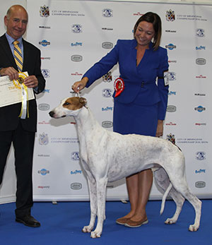 C L & M Millward & L Race Ch Windspiel Northern Scribe for Alouann with group judge Mr G Corish