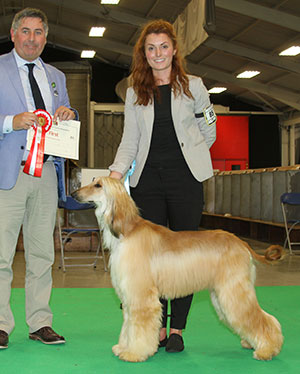 Miss N Thompson Cloudside Sunflower with junior group judge Mr J Horswell