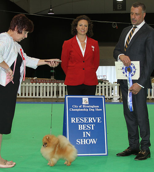 Mrs T K Berrington Kamis Tin Tin At Altina Jw (Imp Rus) (Imp) with BIS judge Mr M Cocozza & Erica (Royal Canin)  