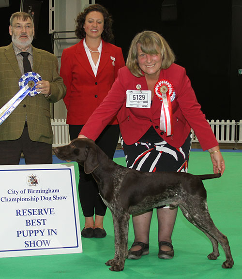 Mrs S Harris Barleyarch Pringle with BPIS judge Mr P Wilkinson & Erica (Royal Canin) 