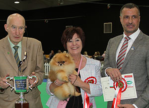 Mrs T K Berrington Kamis Tin Tin At Altina Jw (Imp Rus) (Imp) with group judge Mr M Cocozza & Mr D Wallhead (Committee)