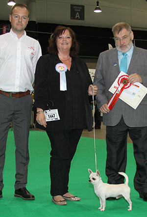 Mrs D FOTHERGILL Mrs D Diamonchi Mister Moon with puppy group judge Mr P Wilkinson & Mr C Thompson (Royal Canin)  