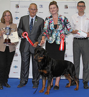 Mrs E Dunhill & Miss M S Dunhill-Hall Ch Cammcastle's Quarterback Fantasa (Imp USA) with group judge Mr B Reynolds-Frost & Ms A Defaye (Committee)