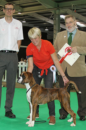 Miss J Brown & Mr T Hutchings Winuwuk Looking For Love (ai) with puppy group judge Mr P Wilkinson & Mr C Thompson (Royal Canin) 