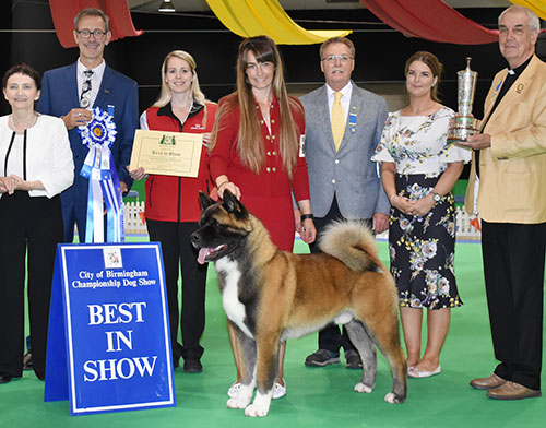 Ms C & Ms F Bevis, Mrs R Corr & Mr K Venezia Am Ch Stecal's Remember My Name with BIS judge Mr M Gadsby, Mr D Bell (Secretary) & The Rev'd W H King 