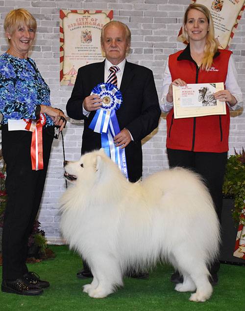 Mrs V Freer & Mrs S Smith Ch Nikara Diamond Dancer JW with BVIS judge Mr S Hall & Mrs L Duffy (Royal Canin)