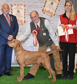 Mr P, Mrs L & Mr G Upton Sh Ch Tragus Fox Appeal with group judge Mr R Strudwick & Mrs L Duffy (Royal Canin)