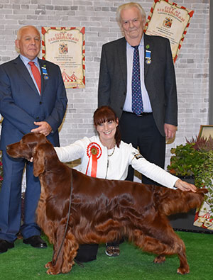 Mr A Stewart & Miss D Ritchie-Smith Sh Ch & Ir Sh Ch Gwendariff Whippersnapper JW CW15 with group judge Mr R Strudwick & Mr B M Marshall (Treasurer)