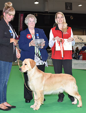 Mrs M C Loverock & Mrs L Waldron-Smith Thornywait Space Cowboy At Lovissa with puppy group judge Mrs M Deats & Mrs L Duffy (Royal Canin)
