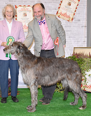 Miss S L Finnett & Miss N Heathcote Ch Hyndsight Because The Night with group judge Miss J Startup 