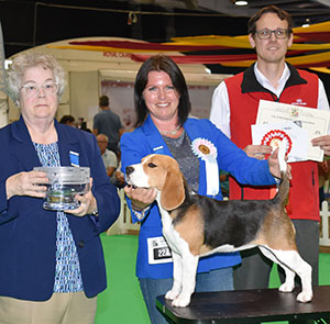 Mrs C Ayres-Cousins Viracocha Onya Marks with puppy group judge Mrs M Deats & Mr J Wolstenholme (Royal Canin)