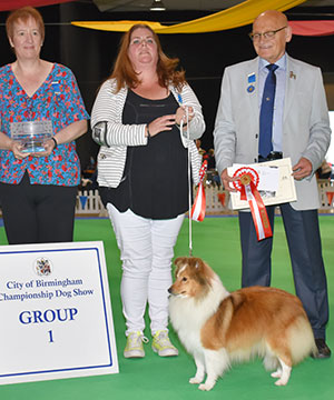 Miss C J Stafford Ch Rannerdale Queen O'the North JW with group judge Mr B Croft & Mrs M Morris (Committee)