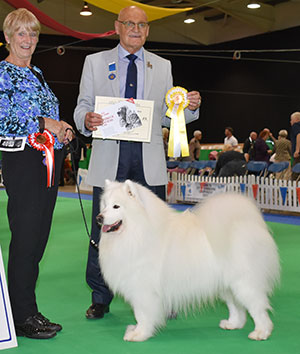 Mrs V Freer & Mrs S Smith Ch Nikara Diamond Dancer JW with group judge Mr B Croft