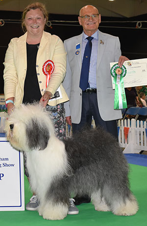 Mrs S Winson Allhart Angelic Roly Poly Of Meisan with group judge Mr B Croft