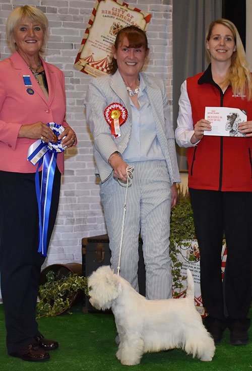 Miss M Burns & Mrs A Burns Ch Burneze Maid To Order with BJIS judge Mrs E P Hollings & Mrs L Duffy (Royal Canin)